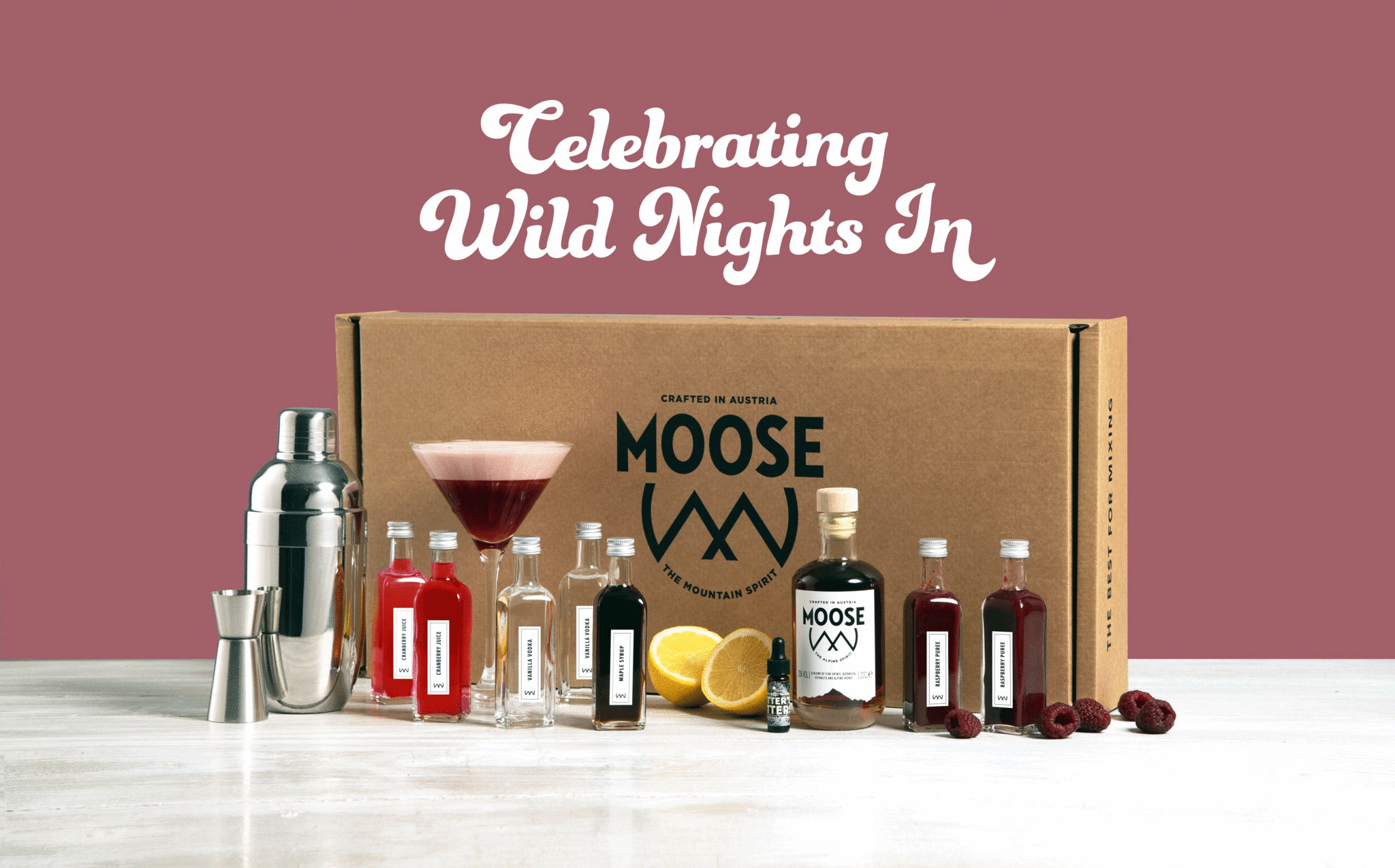 Moose-DIY-Cocktail-box