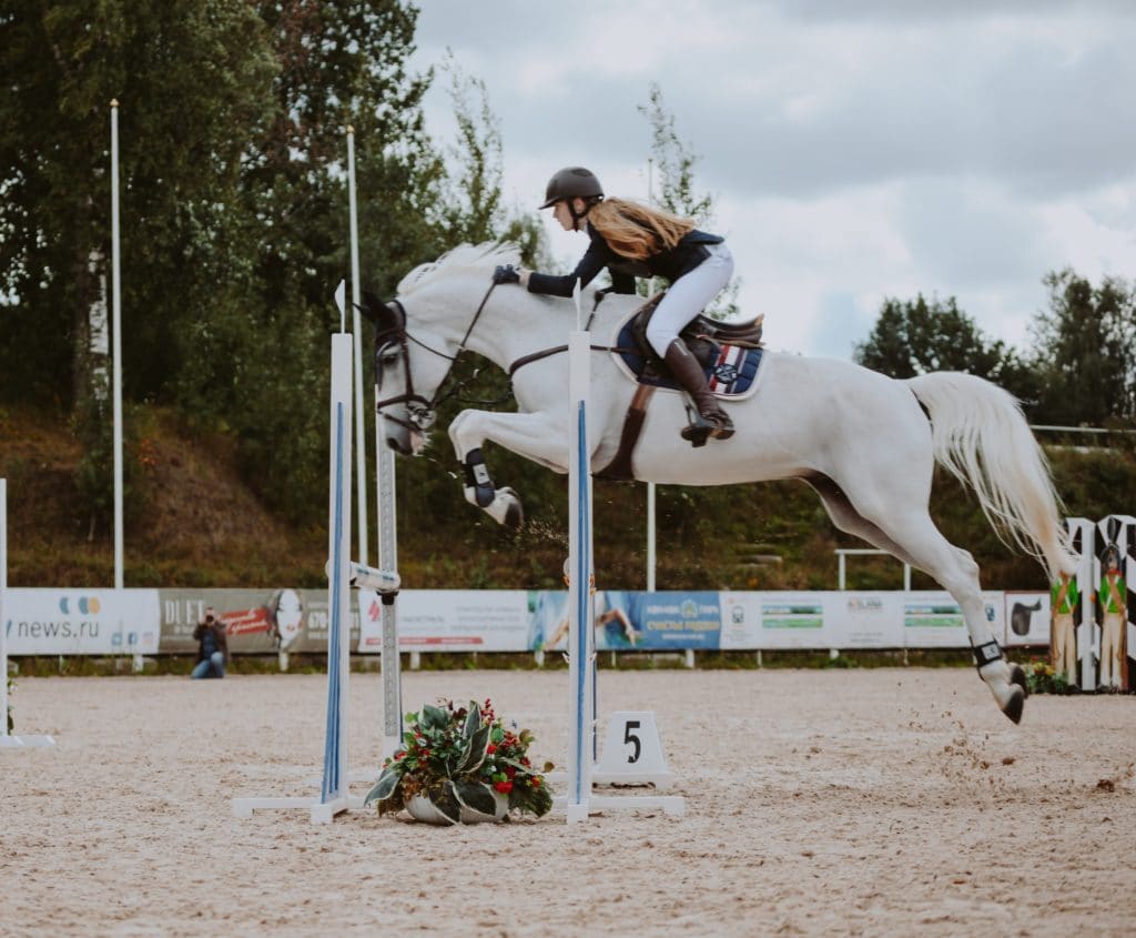 A horse and rider jumping over a jump in a dressage ring