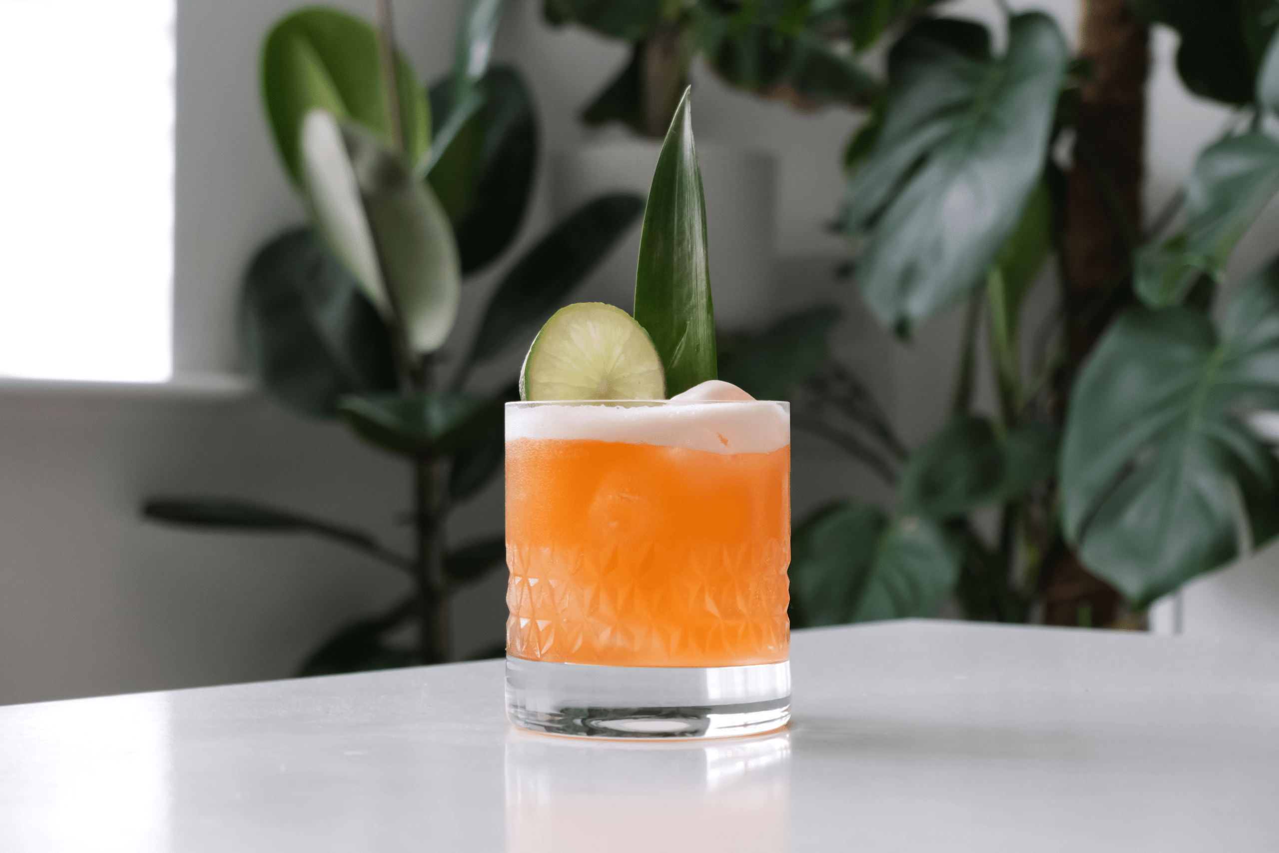 sun-bird-cocktail
